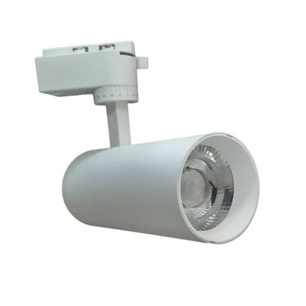 ریلی ریلایت 50 وات COB